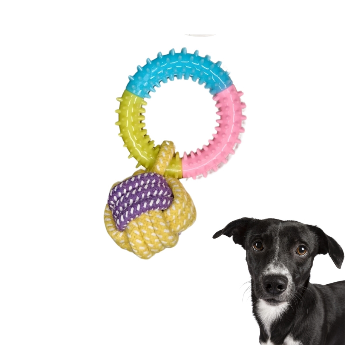 Juguete Perro Anillo Con Nudo 
