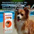 BRAVECTO ANTIPULGAS Y ANTIGARRAPATAS 4.5 A 10 KG
