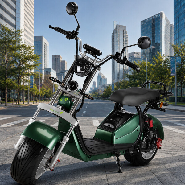 Moto Eléctrica GoGreen Adventure 2000W 20Ah R12 55km/h Verde