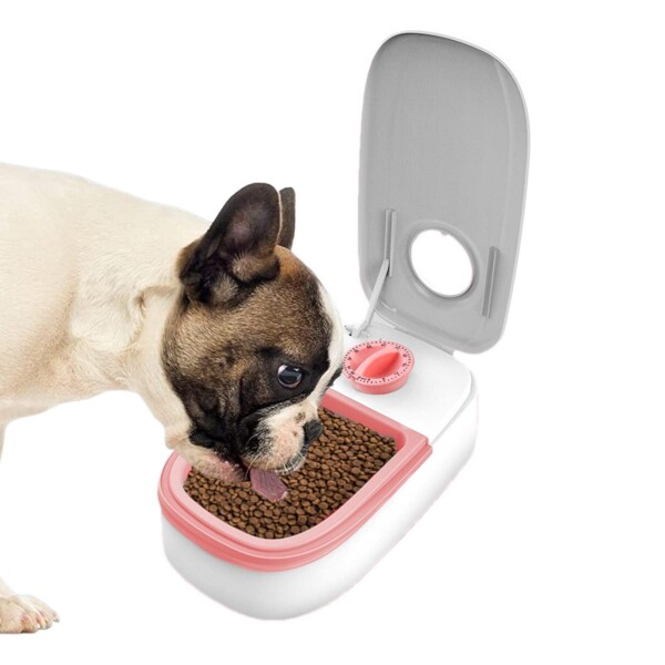 Dispensador De Alimento Timer Para Mascotas Gatos Perros Color Variante Rosa