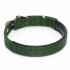 Collar Ajustable Reforzado Hebilla Nylon Perro Gato Mediano Variante Color Verde