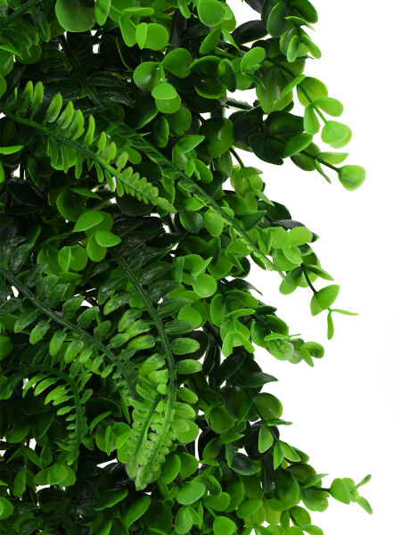 JARDIN VERTICAL HELECHO VERDE