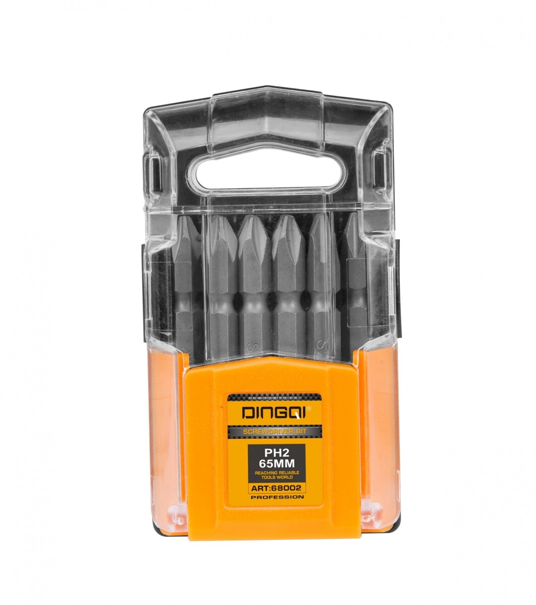 DINGQI JUEGO 10 PIEZAS PUNTAS DOBLES ATORNILLADOR 6.5x65MM P 