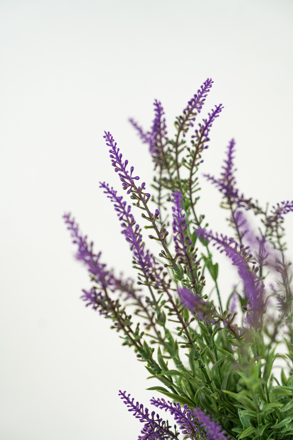 Planta Lavender 48cm Color Unico