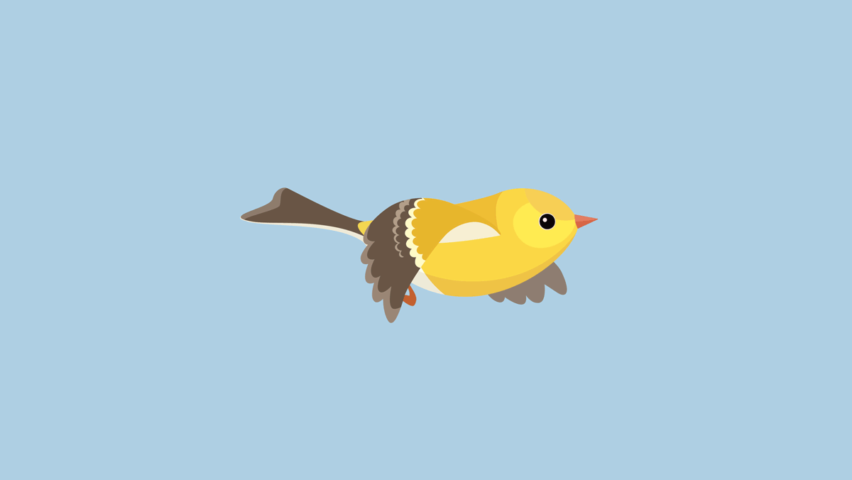 1-pajaron.gif