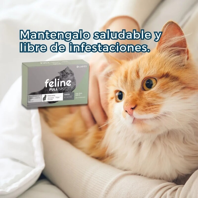 FELINE FULL SPOT DE 2 A 5 KG