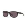 Oakley Holbrook Oo9102l-e8