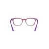 Ray Ban Junior Rb1601 3813
