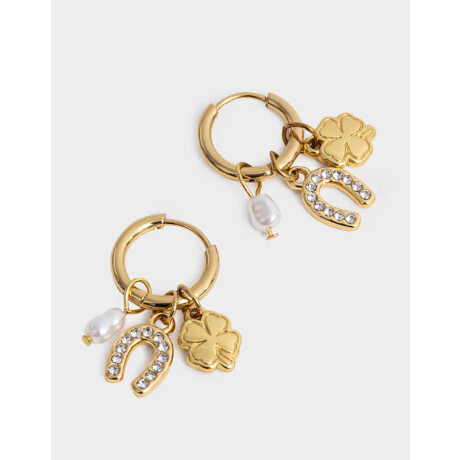 Argollas De Acero Quirúrgico Dorado