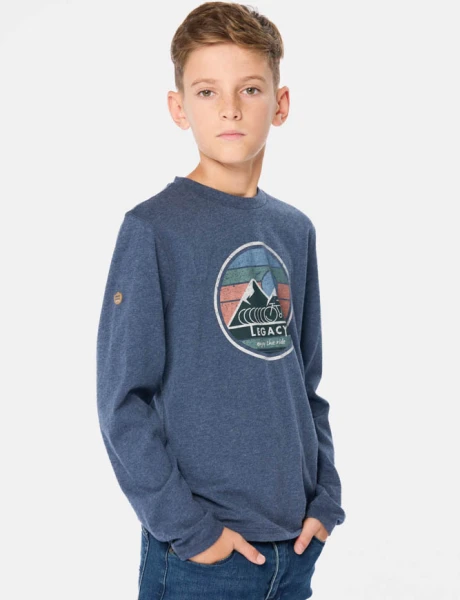 REMERA ESTAMPADA Azul