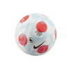 PELOTA NIKE PREMIER LEAGUE PITCH THIRD White