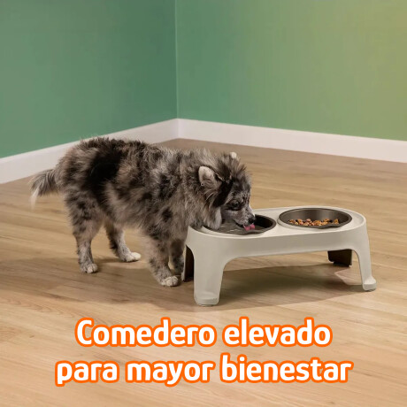 Comedero y Bebedero Elevado para Mascotas Pequeñas Rimax Beige