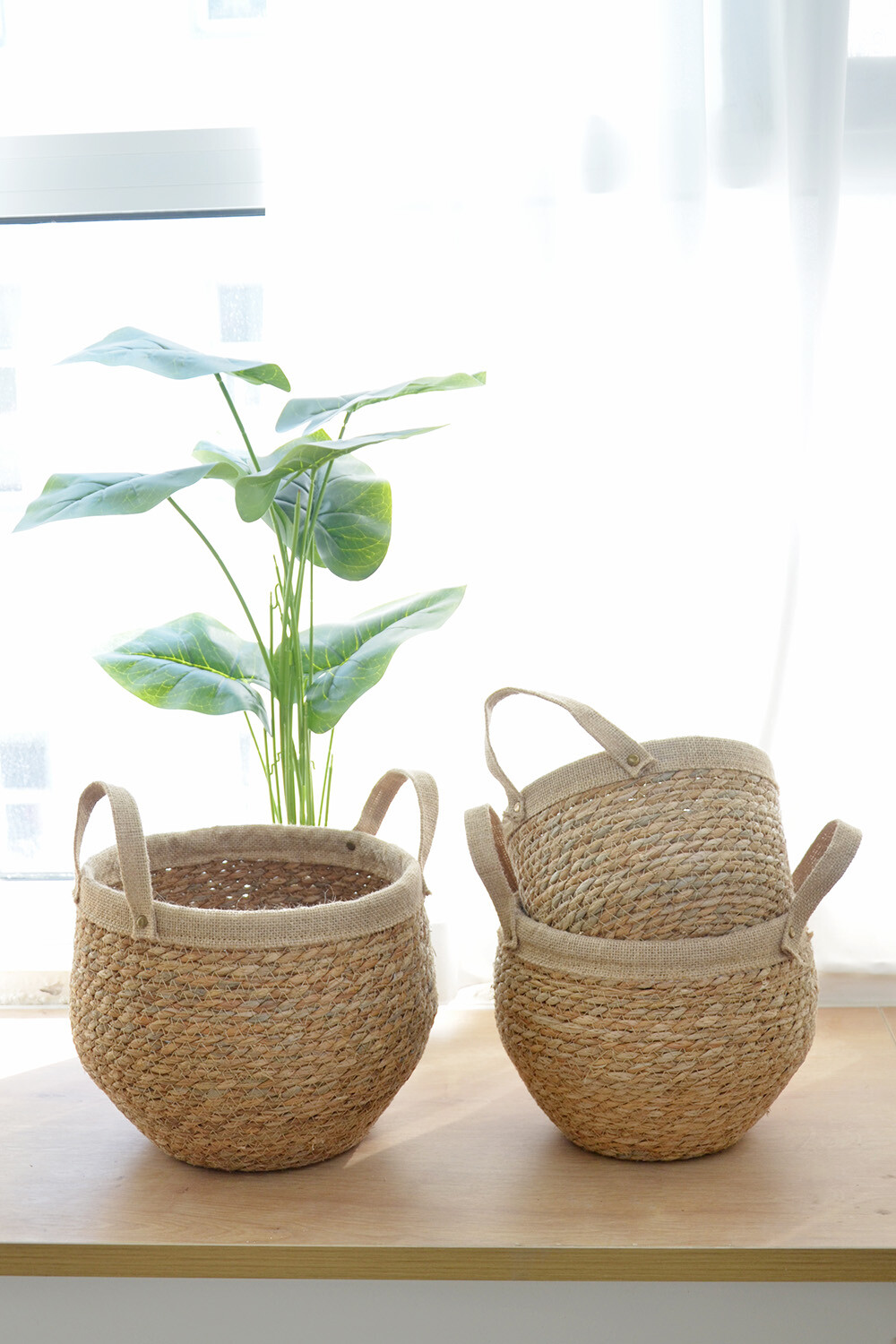 Cesta Cobra Color Unico