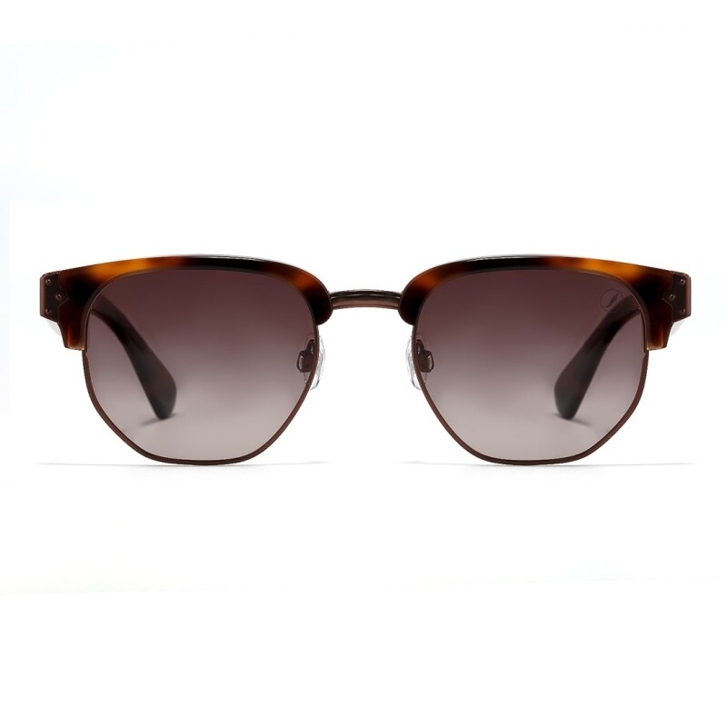 Lentes de Sol Chilli Beans Indaial Animal Print
