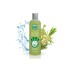 Shampoo Arbol de Té Men for San 300 ml Shampoo Arbol de Té Men for San 300 ml