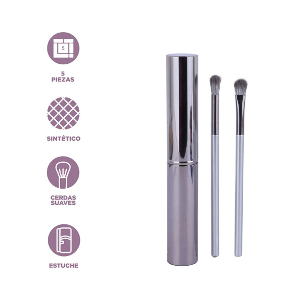 Brocha para ojos con estuche 5pcs plateado