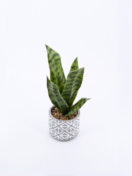 PLANTA TROPIC BLANCO