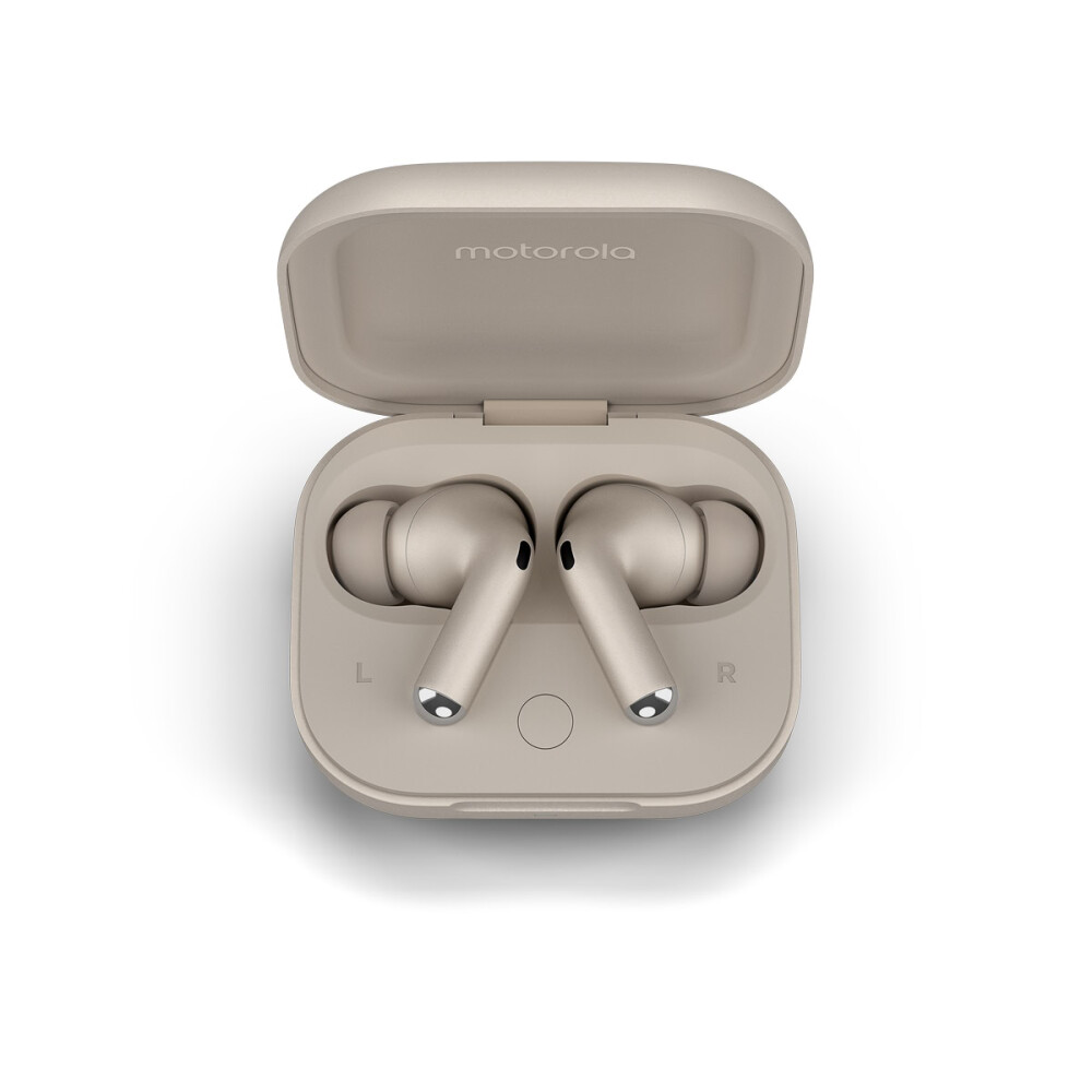 Motorola Moto Buds+ Gris
