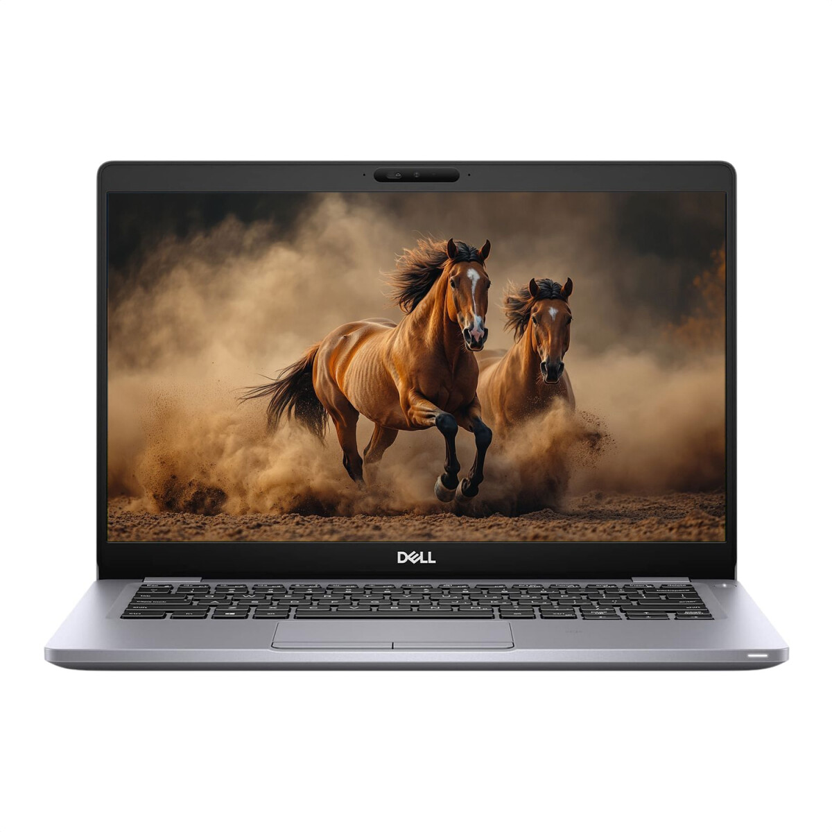 Laptop Dell Latitude 5410 I5 16gb Ram 256gb Ssd 14" - NOTEBOOK DELL LATITUDE 5410 I5/16/256 