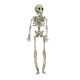 Esqueleto de Halloween Esqueleto de Halloween