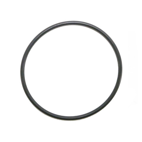 O Ring para Pulsa 800 XP8126
