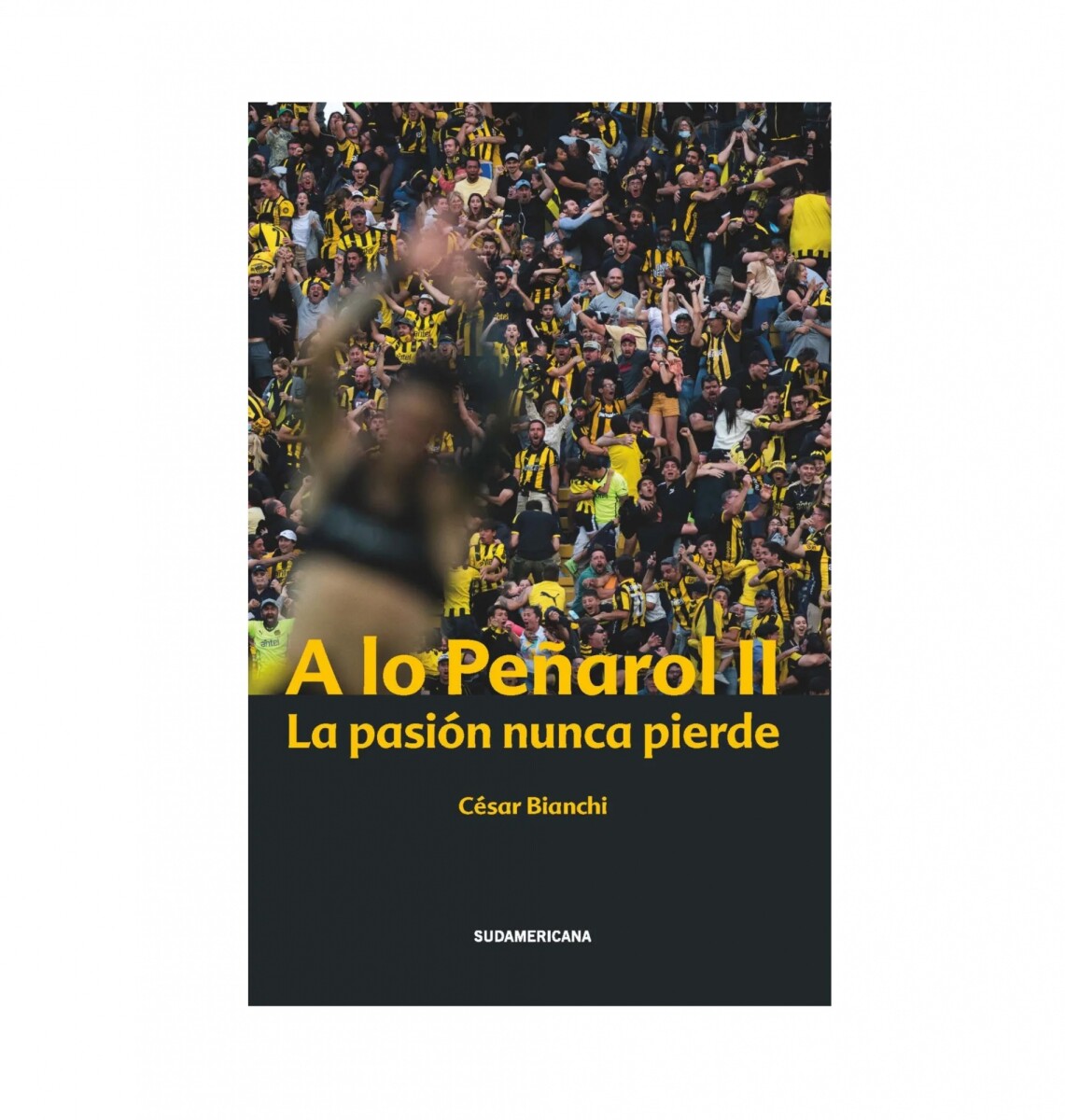 A Lo Peñarol II 