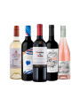 Pack Selección Autumn is coming x5 vinos Fall into Flavor Pack Selección Autumn is coming x5 vinos Fall into Flavor