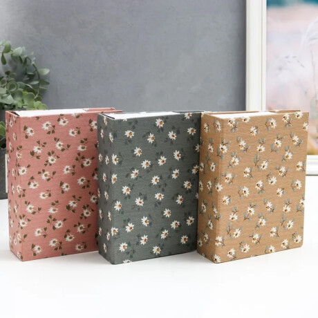 Album de fotos 10 cm por 15 cm Beige