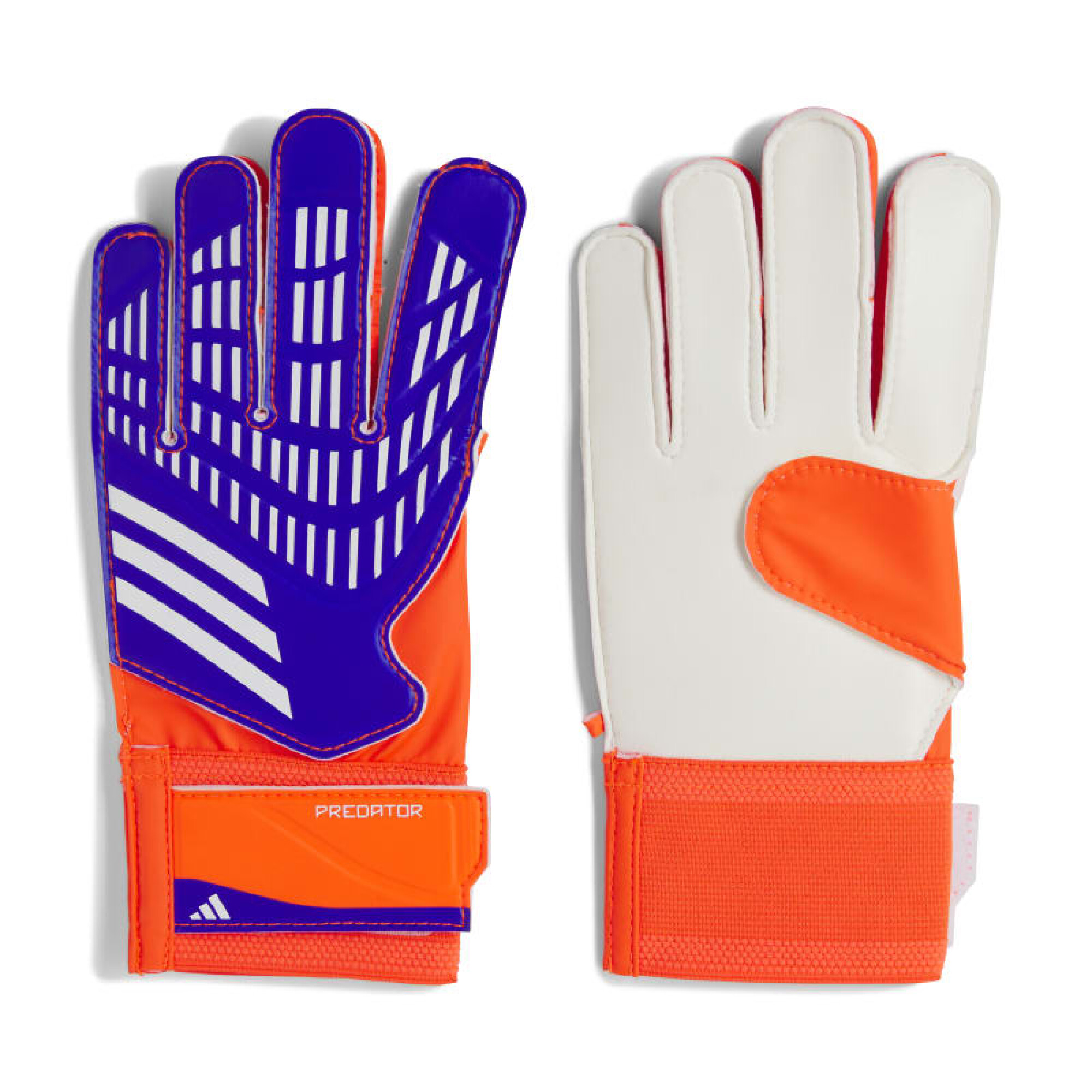 Predator niños clearance