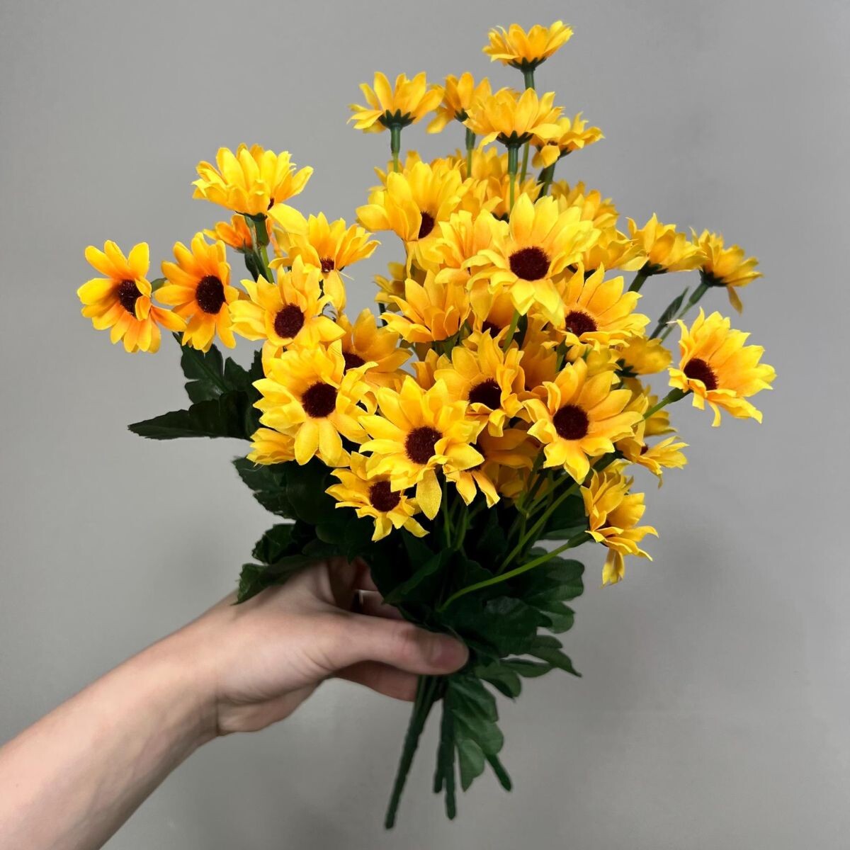 Ramo de Margaritas Mini 