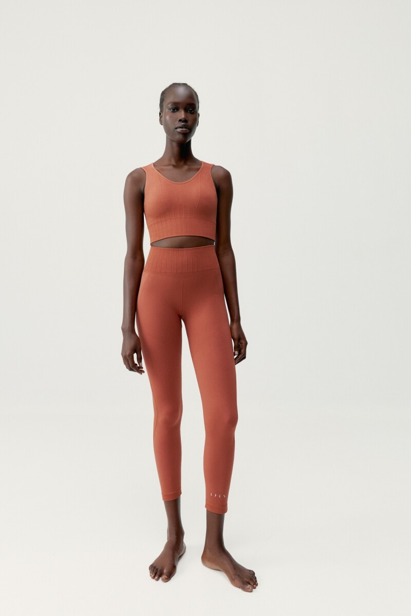 TOP ANNAPURNA Ladrillo