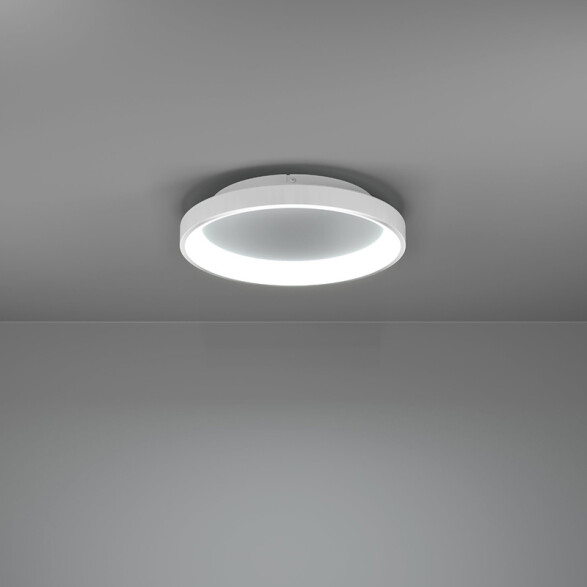 Plafón blanco LED 12W blanco dinámico LORETELLO EG1226