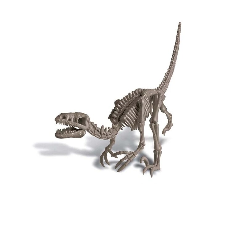 Kit de Excavación Velociraptor – Descubre Tu Dinosaurio KIT EXCAVACION VELOCIRAPTOR
