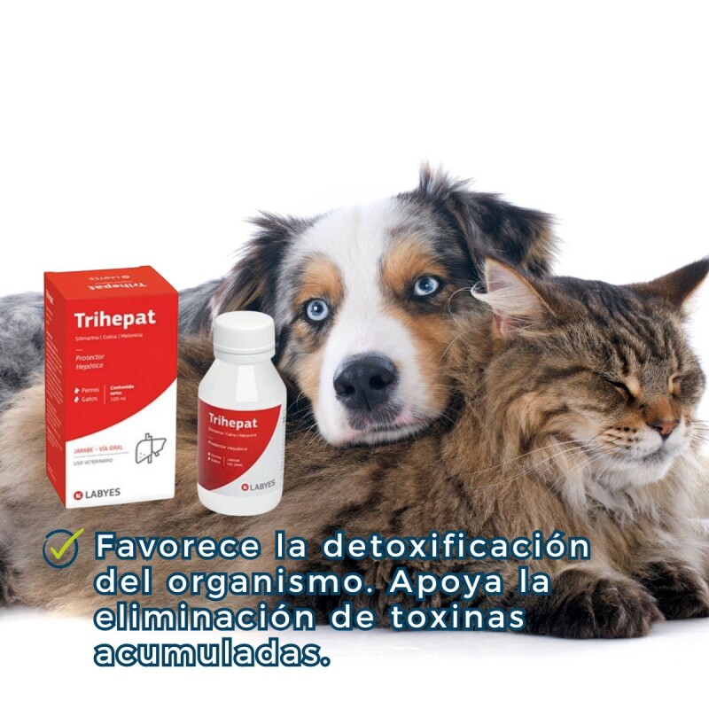 TRIHEPAT JARABE FRASCO 100 ML TRIHEPAT JARABE FRASCO 100 ML