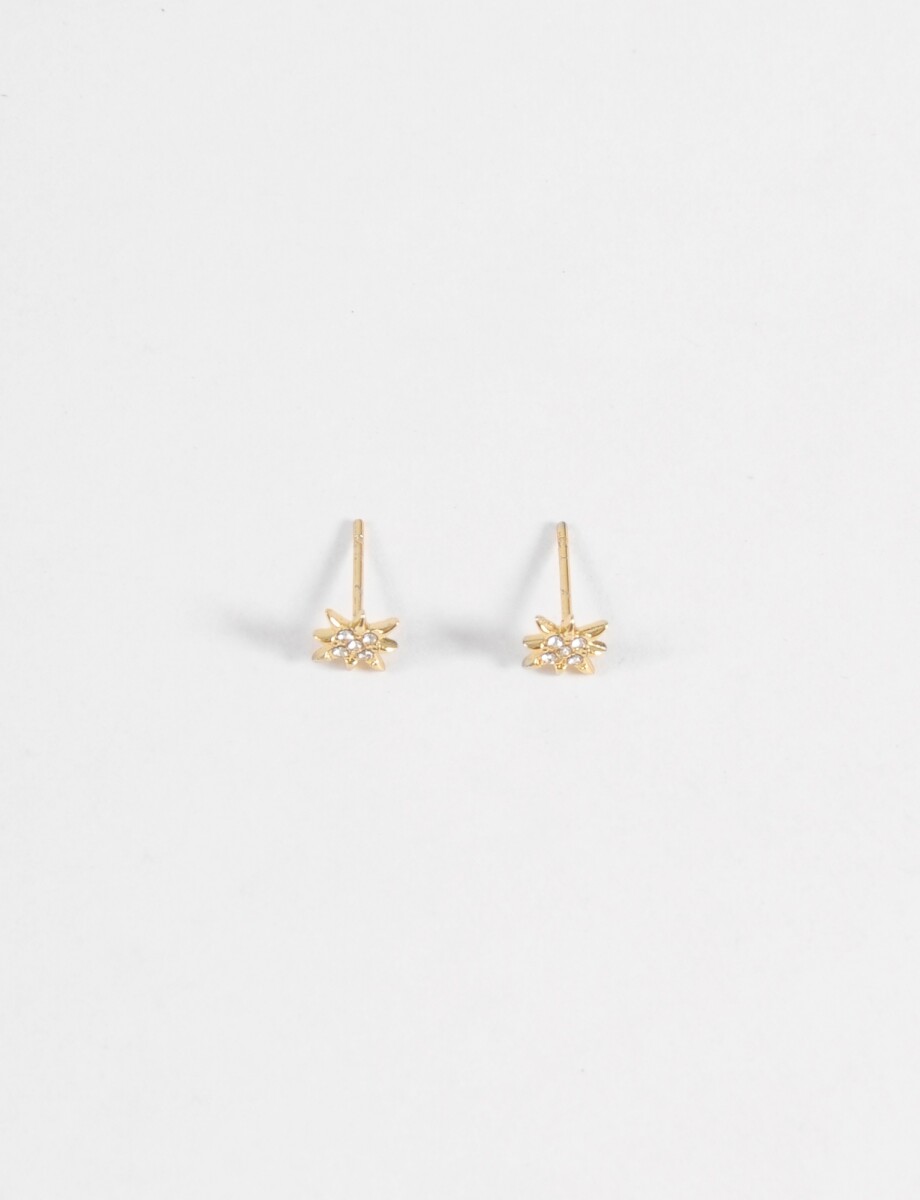 Caravanas pin estrella strass acero - dorado 