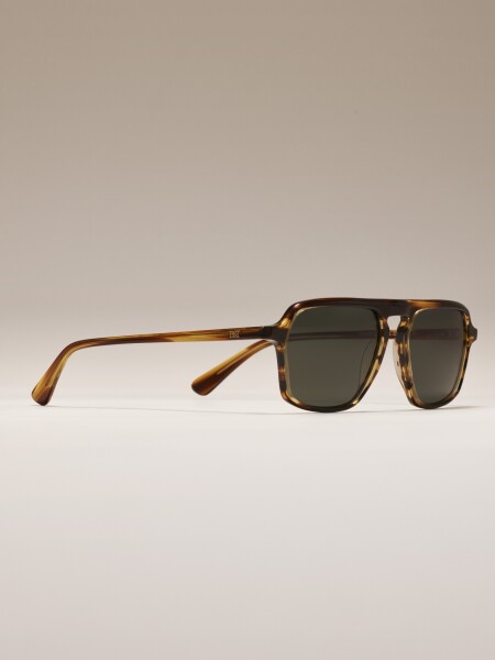 SUNGLASSES BRANDON CAREY C2