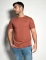 Remera Timo Ladrillo
