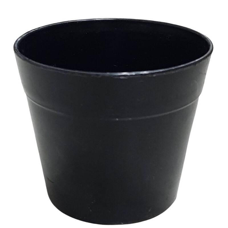 Maceta Plastica 7.8 x 8 cm Zz