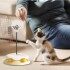 Juguete Dona Gato Base Resorte Dispensador Comida Alimento Juguete Dona Gato Base Resorte Dispensador Comida Alimento