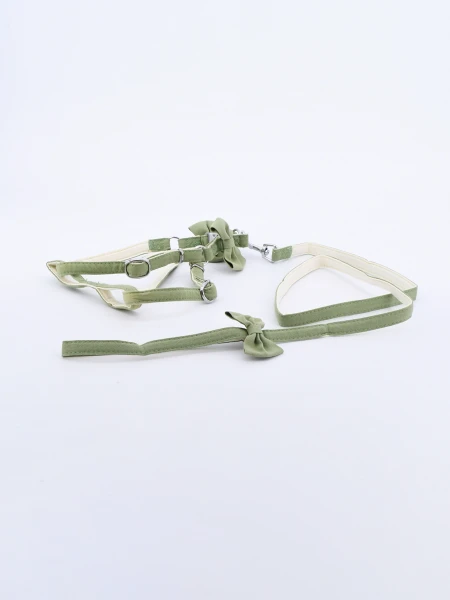 ARNES PARA GATO CON CORREA VERDE