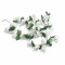 Enredaderas de Flores 2.2MTR Blanca