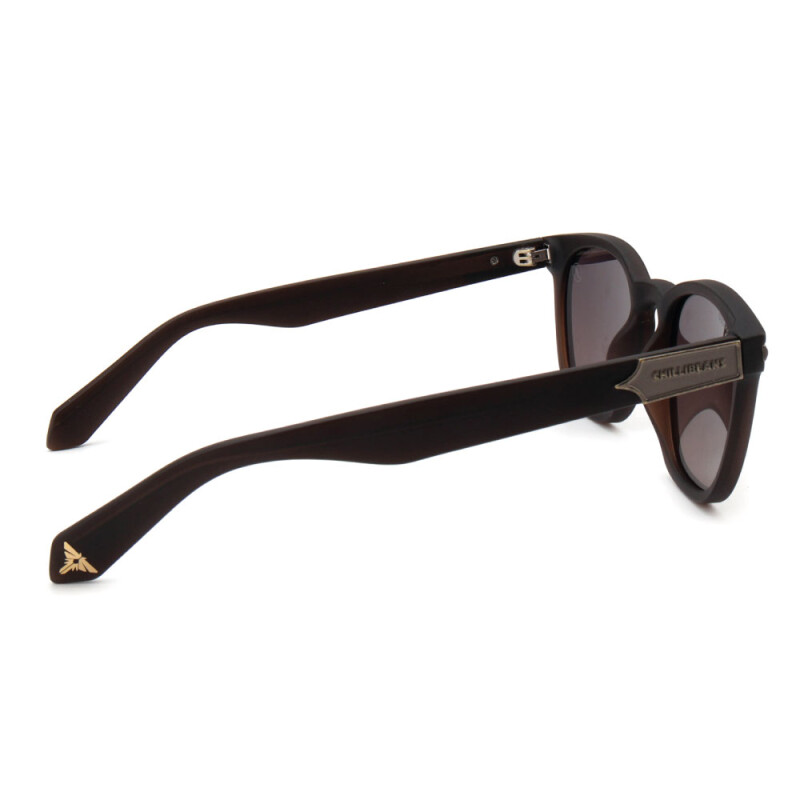 Lentes de Sol Chilli Beans Playstation TLOU Bossa Nova Hombre Gradiente Marón/marrón