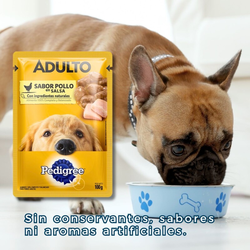 PEDIGREE EN SALSA ADULTO POLLO 100 GRAMOS PEDIGREE EN SALSA ADULTO POLLO 100 GRAMOS