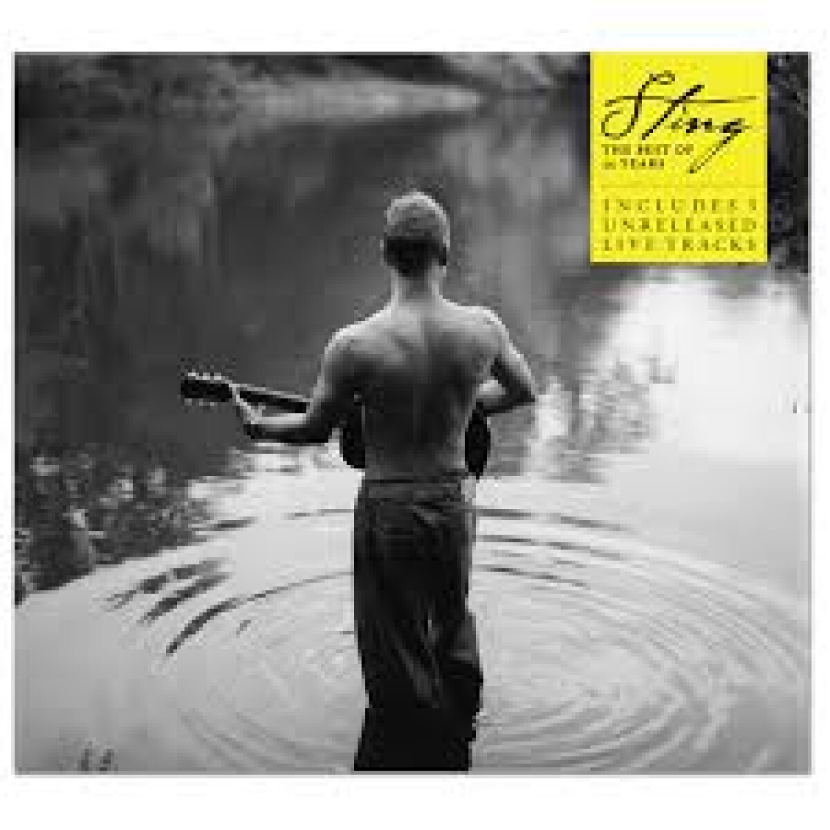 BEST OF 25 YEARS STING スティング 715g6hzjOZL._UF1000,1000_QL80_.jpg