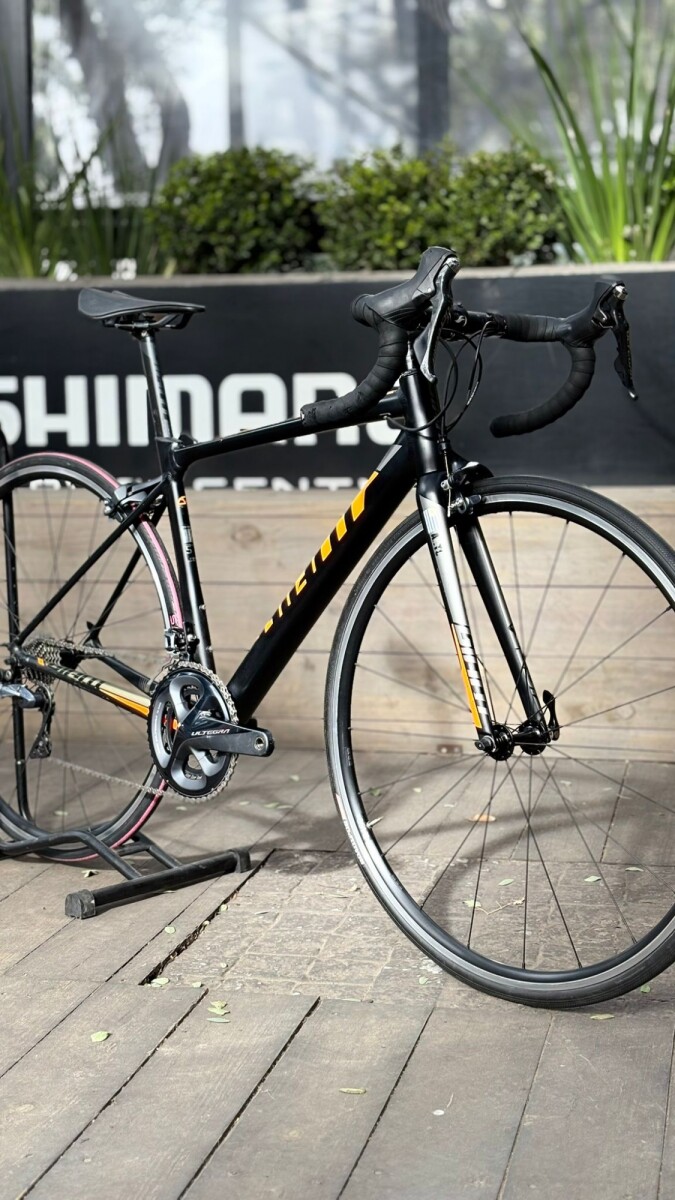 GIANT TCR T-S 