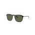 RB 2203/52 col 919-58 Polarized Rb 2203/52 Col 919-58 Polarized