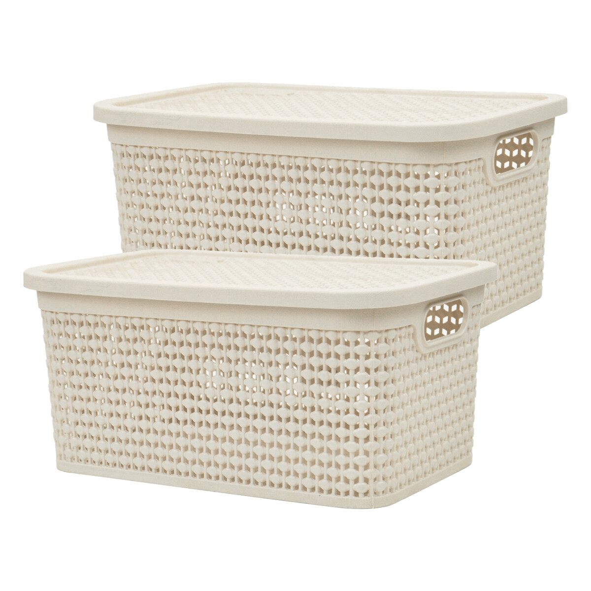 Set x2 Caja simil ratán 4 lts - BEIGE 