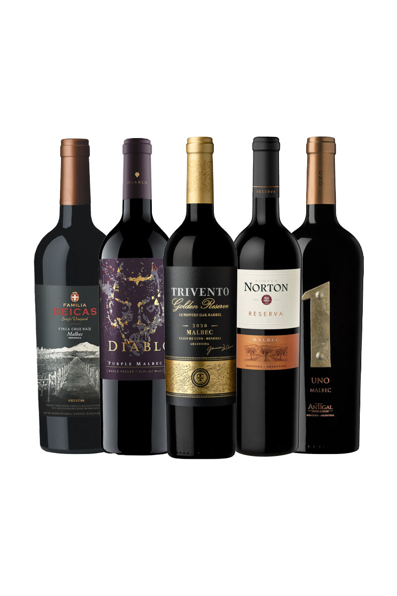 Pack Selección Variedades Protagonistas x5 vinos Malbec 