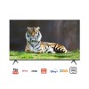 Smart Tv James S55 V2 El 55 Led Uhd 4k Isdbt Wifi Smart Tv James S55 V2 El 55 Led Uhd 4k Isdbt Wifi