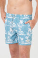 Short 4way stretch Palmares